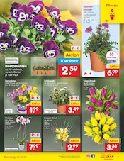 Aktueller Netto Marken-Discount Prospekt mit Orchidee, "Aktuelle Angebote", Seite 9