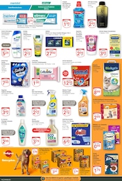 Bodenbelag im GLOBUS Prospekt in Hof Aktueller GLOBUS Prospekt mit Bodenbelag, "Aktuelle Angebote", Seite 20