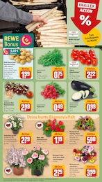 Blumen Angebot im aktuellen REWE Prospekt auf Seite 7