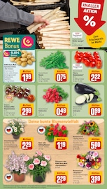 Ähnliche Bratkartoffeln Angebote im Prospekt "Dein Markt" von REWE Ähnliches Angebot bei REWE in Prospekt "Dein Markt" gefunden auf Seite 7