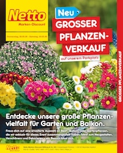 Netto Marken-Discount Discounter Prospekt der aktuellen Woche mit 2 Seiten, gültig von 28.05.2026 bis 30.05.2026, in Zermützel und Umgebung Aktueller Netto Marken-Discount Discounter Prospekt in Zermützel und Umgebung, "Großer Pflanzenverkauf auf unserem Parkplatz" mit 2 Seiten, 28.05.2026 - 30.05.2026
