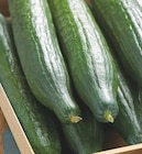 Intermarché Vars - Promo CONCOMBRE Promo CONCOMBRE à 1,58 € dans le catalogue Intermarché à Vars