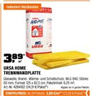 TRENNWANDPLATTE von URSA HOME im aktuellen OBI Prospekt für 3,69 €