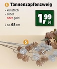 Tannenzapfenzweig für 1,99 € bei Thomas Philipps im Angebot Tannenzapfenzweig im aktuellen Thomas Philipps Prospekt