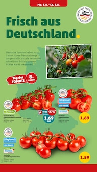 Tomaten im aktuellen Penny Prospekt (München) Tomaten im Penny Prospekt "Wer günstig will, muss Penny." mit 40 Seiten (München)