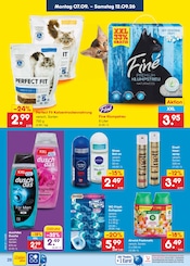Ähnliche Aquarium Angebote im Prospekt "Aktuelle Angebote" von Netto Marken-Discount in Flensburg Ähnliche Angebote wie Aquarium im Prospekt "Aktuelle Angebote" auf Seite 42 von Netto Marken-Discount in Flensburg