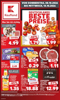 Ariel im aktuellen Kaufland Prospekt (Augsburg) Ariel im Kaufland Prospekt "Hier bin ich richtig" mit 78 Seiten (Augsburg)