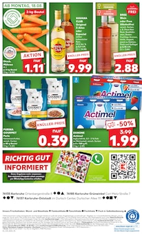 Katzenfutter im Kaufland Prospekt "Aktuelle Angebote" mit 58 Seiten (Karlsruhe)