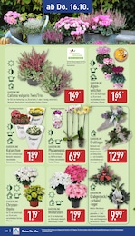 Pflanzen im ALDI Nord Prospekt Pflanzen im ALDI Nord Prospekt Aktuelle Angebote auf S. 30