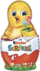 MOULAGES SURPRISE - KINDER en promo à 2,19 € chez Aldi MOULAGES SURPRISE - KINDER dans le catalogue Aldi
