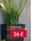 Pflanztopf im Woolworth Prospekt Pflanztopf von im aktuellen Woolworth Prospekt für 16,00 €