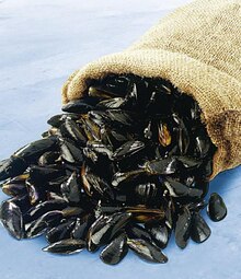 Casino Supermarchés Metz - Moules de bouchot Promo Moules de bouchot dans le catalogue Casino Supermarchés Un trésor d'anniv' à Metz