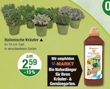 Italienische Kräuter von V-MARKT im aktuellen V-Markt Prospekt für 2,59 €