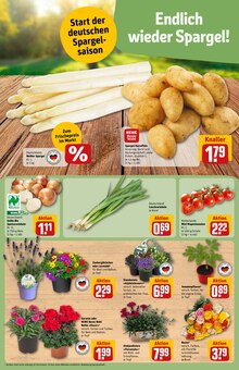 Blumen im REWE Prospekt "Dein Markt" mit 32 Seiten (Mönchengladbach)