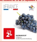 RAISIN MUSCAT à Auchan Supermarché dans Farbus