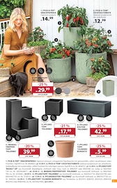 Kochtopf im Dehner Garten-Center Prospekt in Köln Aktueller Dehner Garten-Center Prospekt mit Kochtopf, "FEIER DEN SOMMER", Seite 7