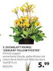 Eichblatt Primel ‘oakleaf Yellow Picotee’ Angebote bei Dehner Garten-Center Gelsenkirchen für 5,99 €