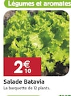 Promo Salade Batavia à 2,10 € dans le catalogue LaMaison.fr à La Guerche-de-Bretagne