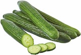 Spanien Bio-Gurken bei EDEKA im Hörstel Prospekt für 1,29 €