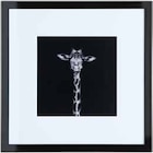 Bild WILDLIFE im Angebot bei Zurbrüggen in Minden Bild WILDLIFE Angebote bei Zurbrüggen Minden für 29,99 €