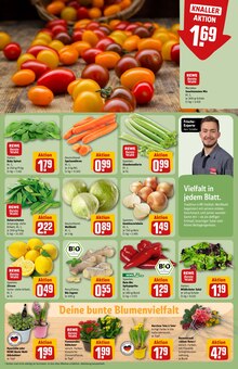 Tomaten im REWE Prospekt "Dein Markt" mit 36 Seiten (Jena)