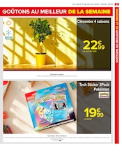 Promos Bricolage et Jardin dans le catalogue "NOUVEL AN LUNAIRE" de Carrefour à la page 7