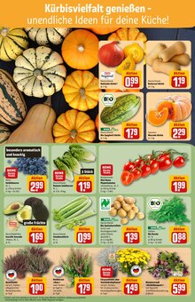 Blumen im REWE Prospekt "Dein Markt" mit 36 Seiten (Braunschweig)