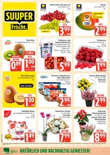 Blumen im Marktkauf Prospekt "Top Angebote" mit 36 Seiten (Hamburg)