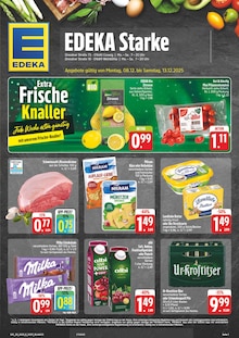 Aktueller EDEKA Meißen Prospekt "Wir lieben Lebensmittel!" mit 28 Seiten