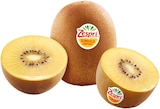 REWE Elsterwerda - SunGold Kiwi Angebot im Prospekt SunGold Kiwi bei REWE im Elsterwerda Prospekt für 0,30 €