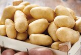 Intermarché Contact Coulans-sur-Gée - Promo Pommes de terre de consommation à chair ferme Promo Pommes de terre de consommation à chair ferme à 1,69 € dans le catalogue Intermarché Contact à Coulans-sur-Gée
