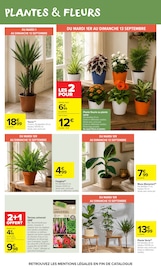 Promos Terreau dans le catalogue "Carrefour market" de Carrefour Market Terreau en promo dans le catalogue Carrefour Market à la page 53