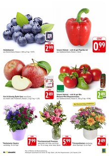 Paprika im EDEKA Prospekt "Aktuelle Angebote" mit 32 Seiten (Ulm)