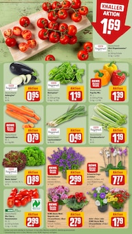Sellerie im REWE Prospekt "Dein Markt" mit 30 Seiten (Stuttgart)
