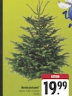 E center - Nordmanntanne Angebot im Prospekt Nordmanntanne bei E center im Prospekt "" für 19,99 €