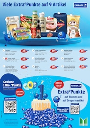 Tierbedarf im Marktkauf Prospekt Top Angebote auf S. 4