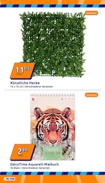 Pflanzen Angebot im aktuellen Action Prospekt auf Seite 29
