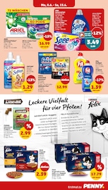 Aktueller Penny Prospekt mit Hundefutter, "Wer günstig will, muss Penny.", Seite 29