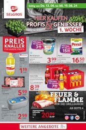 Aktueller Selgros Supermärkte Prospekt für Erdfunkstelle Usingen: cash & carry mit 32} Seiten, 13.06.2024 - 19.06.2024