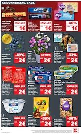 Blumen im Kaufland Prospekt in Dresden Aktueller Kaufland Prospekt mit Blumen, "Hier bin ich richtig", Seite 4