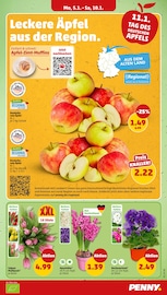 Blumen im Penny Prospekt in Norderstedt Aktueller Penny Prospekt mit Blumen, "Wer günstig will, muss Penny.", Seite 3