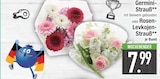 Aktuelle Pflanzen Angebote bei EDEKA in Ingolstadt Aktuelles Germini-Strauß Angebot bei EDEKA in Ingolstadt ab 7,99 €