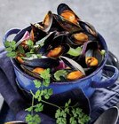 MOULES D'ESPAGNE à Intermarché dans Tillé MOULES D'ESPAGNE à Intermarché dans Tillé
