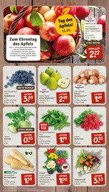 Garten im nahkauf Prospekt in Mannheim Aktueller nahkauf Prospekt mit Garten, "nichts liegt näher", Seite 3