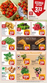Ähnliche Angebote wie Wandtattoo im Prospekt "Dein Markt" auf Seite 7 von REWE in Bornheim