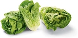 Aktuelle Gemüse Angebote bei Netto Marken-Discount in Oldenburg Aktuelles Mini-Romanasalat Angebot bei Netto Marken-Discount in Oldenburg ab 0,79 €