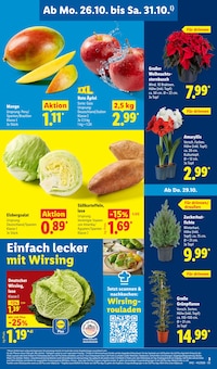 Pflanzen im aktuellen Lidl Prospekt (Aachen) Pflanzen im Lidl Prospekt "LIDL LOHNT SICH" mit 76 Seiten (Aachen)