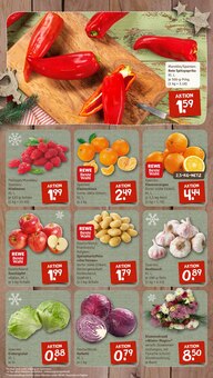 Blumen im aktuellen nahkauf Prospekt (Erfurt) Blumen im nahkauf Prospekt "nichts liegt näher" mit 16 Seiten (Erfurt)