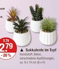 Sukkulente im Topf im V-Markt Prospekt Sukkulente im Topf von im aktuellen V-Markt Prospekt für 2,79 €