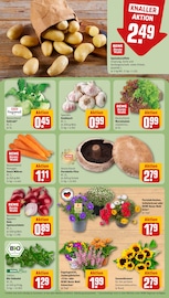Ähnliche Tulpen Angebote im Prospekt "Dein Markt" von REWE in Lahr Ähnliche Angebote wie Tulpen im Prospekt "Dein Markt" auf Seite 7 von REWE in Lahr